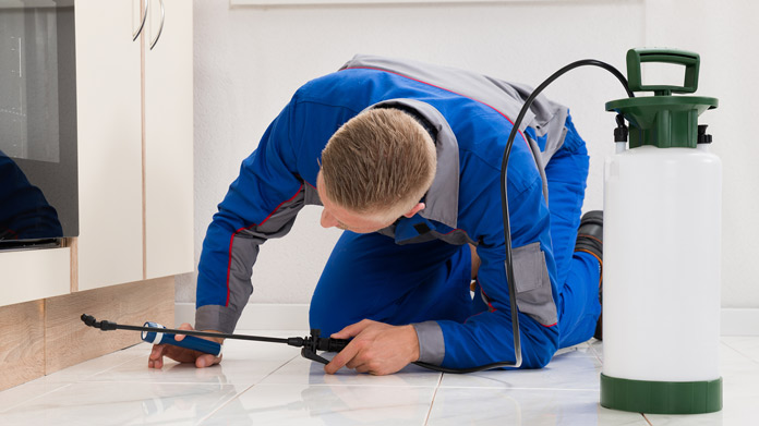 4 Benefits Of Pest Control Services