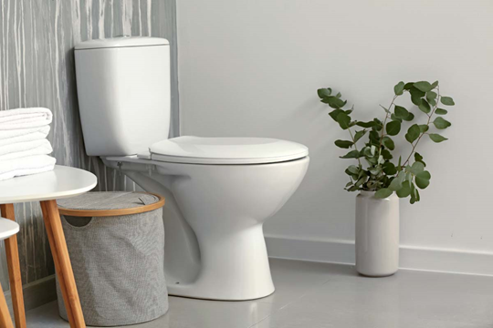 What else do you have to know when buying a toilet?