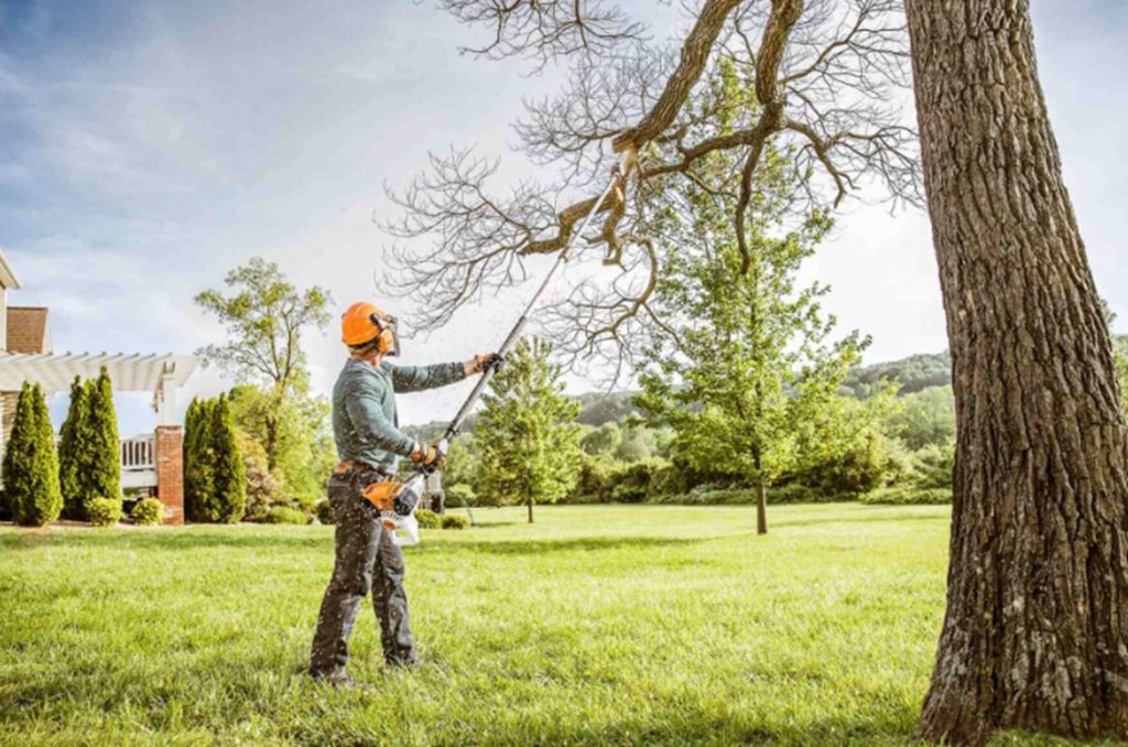 Twenty Five Tips to Simplify Your Garden Maintenance in Wahroonga