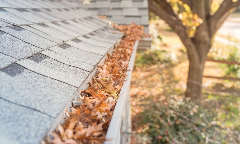What Kinds of Damages Can be Caused by Clogged Gutters?
