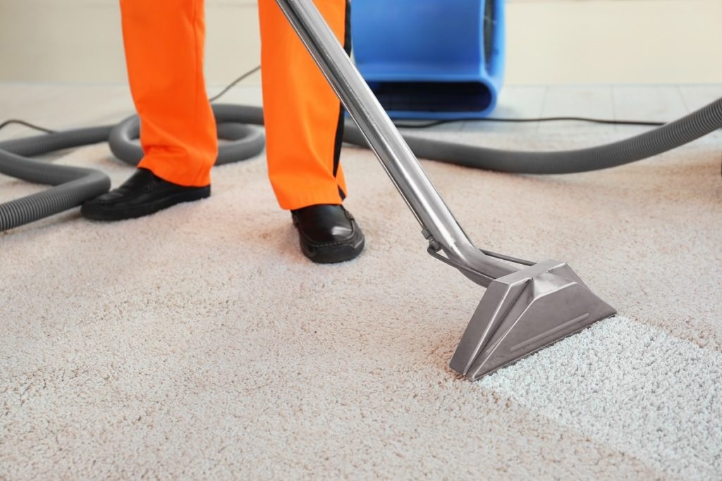 Top reasons to schedule regular professional carpet cleaning