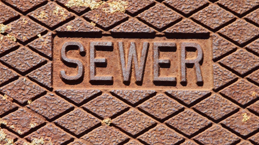 Common Signs Your Sewer Line Needs Repair
