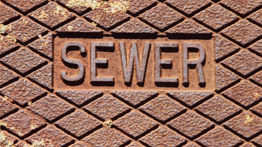 Sewer Line Needs Repair